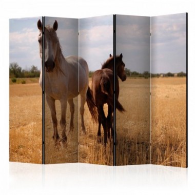 Paravento - Horse and foal II [Room Dividers] - 225x172