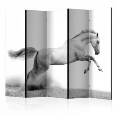 Paravento - White gallop II [Room Dividers] - 225x172