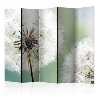 Paravento - Two dandelions II [Room Dividers] - 225x172
