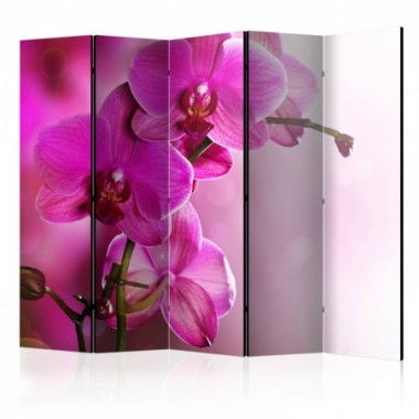 Paravento - Pink orchid II [Room Dividers] - 225x172
