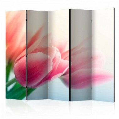 Paravento - Spring and tulips II [Room Dividers] -...