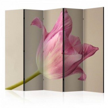 Paravento - Pink tulip II [Room Dividers] - 225x172