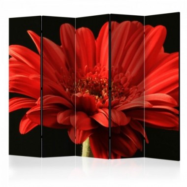 Paravento - Red gerbera flower II [Room Dividers] -...