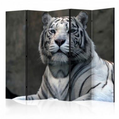 Paravento - Bengali tiger in zoo II [Room Dividers]...