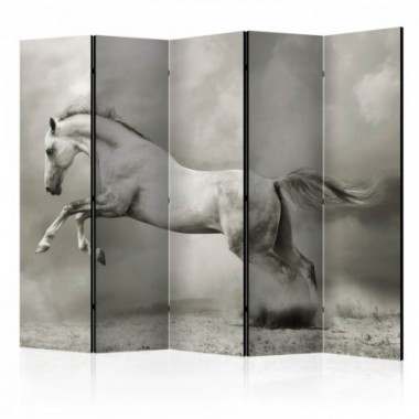 Paravento - Wild Stallion II [Room Dividers] - 225x172