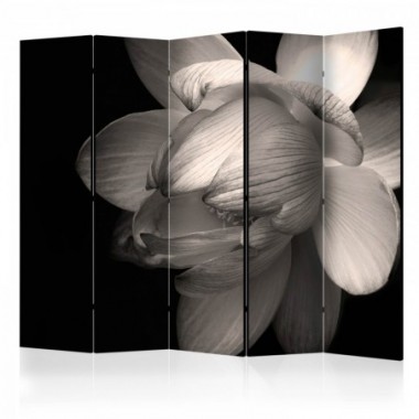 Paravento - Lotus flower II [Room Dividers] - 225x172