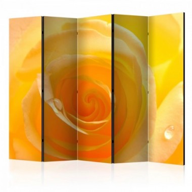 Paravento - Yellow rose II [Room Dividers] - 225x172