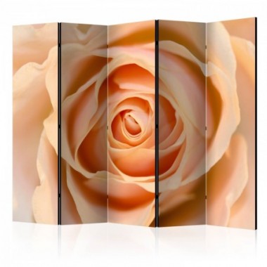 Paravento - Peach-colored rose II [Room Dividers] -...