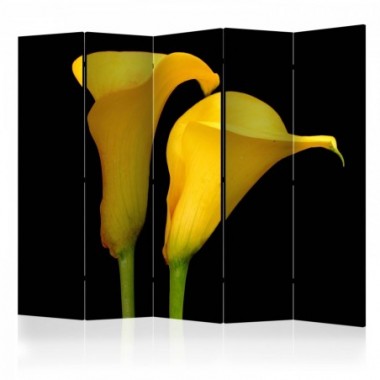 Paravento - Two yellow calla flowers on a black...
