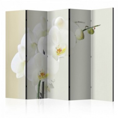 Paravento - White orchid II [Room Dividers] - 225x172