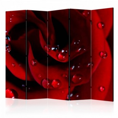 Paravento - Red rose with water drops II [Room...