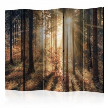 Paravento - Autumnal Forest II [Room Dividers] -...