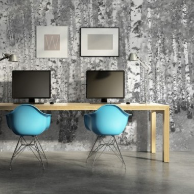 Fotomurale - Betulla solitudine - 450x270