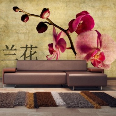Fotomurale - Japanese orchid - 450x270