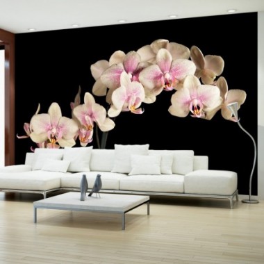 Fotomurale - Orchidea in fiore - 450x270