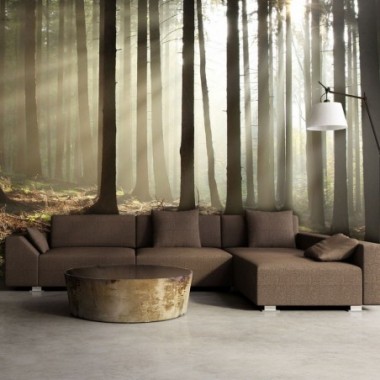 Fotomurale - Foresta di conifere al mattino - 450x270