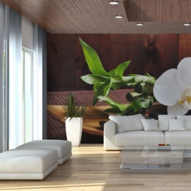 Fotomurale - tempio  zen - 450x270