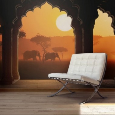 Fotomurale - Sentire l'Africa - 450x270