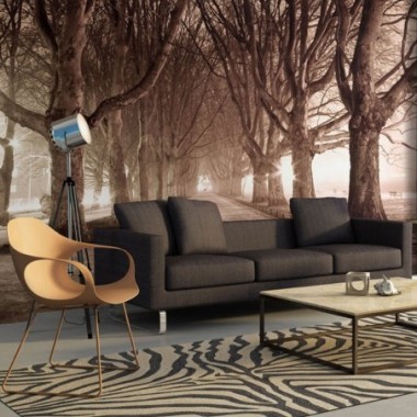 Fotomurale - Via nel parco - 350x270