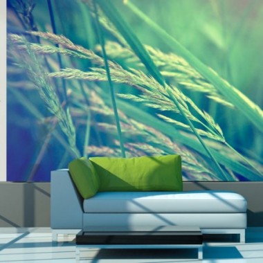 Fotomurale - Cereal field - 350x270