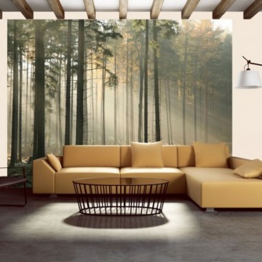 Fotomurale - Foggy November morning - 350x270