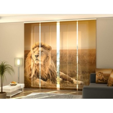 Tende a Pannello Scorrevoli  Re Degli Animali 245x60