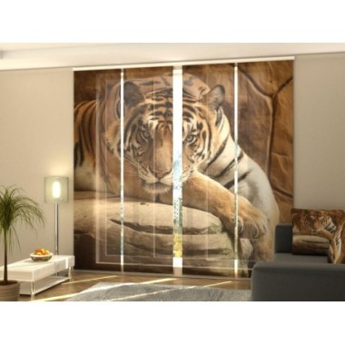 Tende a Pannello Scorrevoli  Tigre su una Roccia 270x60