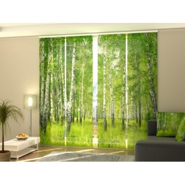 Tende a Pannello Scorrevoli  Foresta di Betulle 270x60