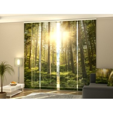 Tende a Pannello Scorrevoli  Foresta Soleggiata 300x60