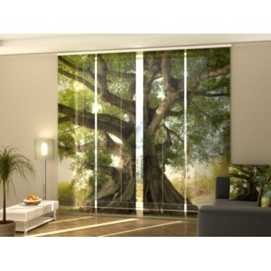 Tende a Pannello Scorrevoli  Albero Della Vita 300x60