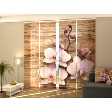 Tende a Pannello Scorrevoli  Deliziosa Orchidea sul...
