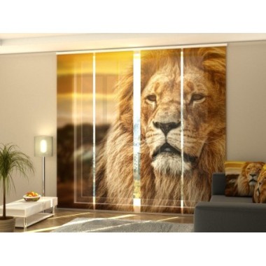 Tende a Pannello Scorrevoli  Leone nella Savana 245x60