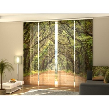 Tende a Pannello Scorrevoli  Alberi di Quercia in...