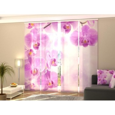 Tende a Pannello Scorrevoli  Orchidee Stellate 270x60