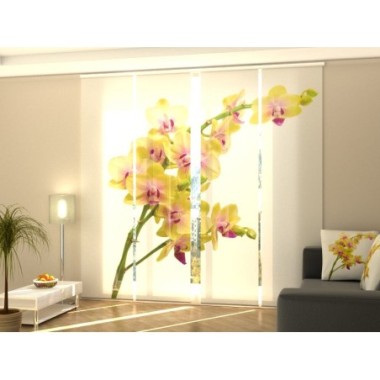 Tende a Pannello Scorrevoli  Orchidea Solare 2 270x60
