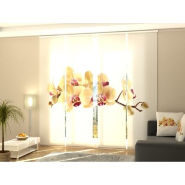 Tende a Pannello Scorrevoli  Orchidea Dorata su...