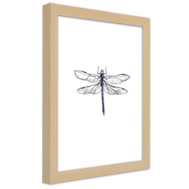 Quadro con cornice, Libellula disegnata - 20x30