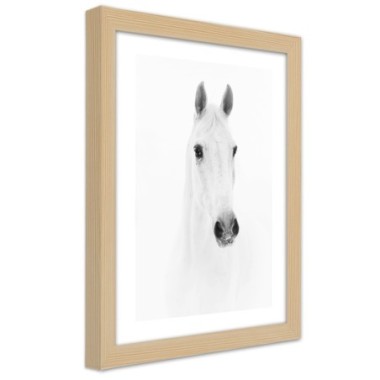 Quadro con cornice, Cavallo grigio - 20x30