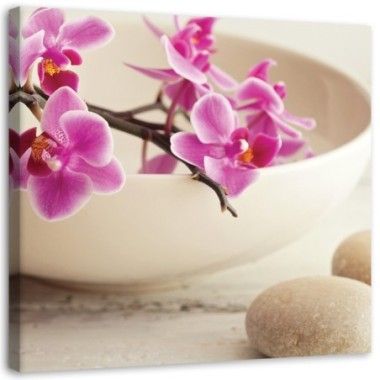 Stampa su tela, Orchidee rosa in un piatto - 30x30