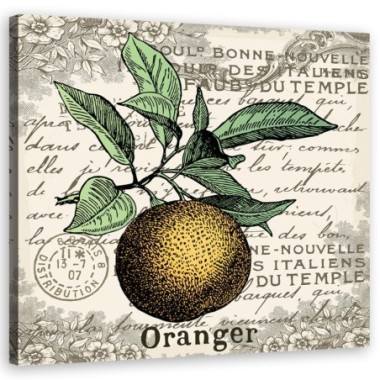 Quadro su tela, Orange vintage - 30x30