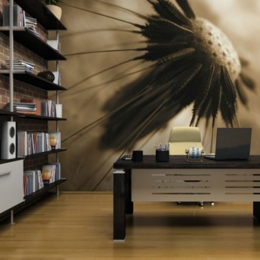 Fotomurale - soffione - seppia - 350x270