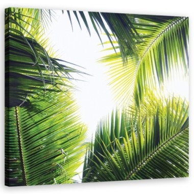 Quadro su tela, foglie di palma - 30x30