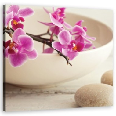 Quadro su tela, Orchidee rosa nel piatto - 30x30