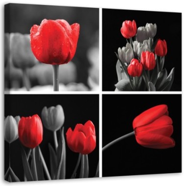 Quadro su tela, Set di tulipani rossi - 40x40