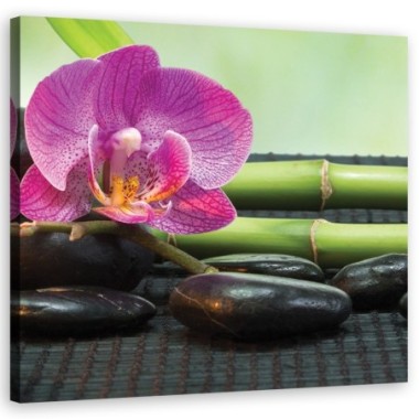 Quadro su tela, Orchidea su pietre nere - 30x30