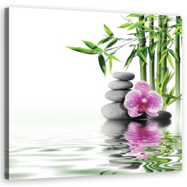 Quadro su tela, Zen giardino acquatico - 40x40
