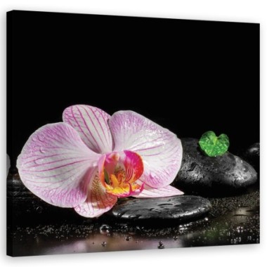 Quadro su tela, Uno zen in fiore di orchidea - 30x30