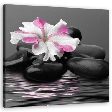 Quadro su tela, Stones Pink Flower Zen - 40x40