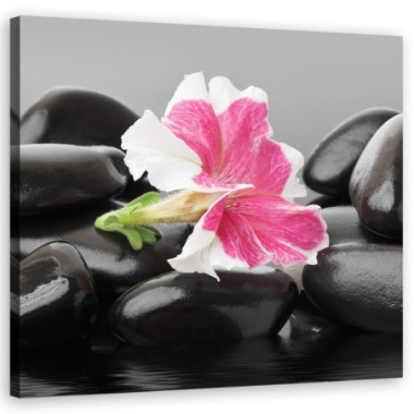 Quadro su tela, Fiore rosa su pietre zen - 30x30
