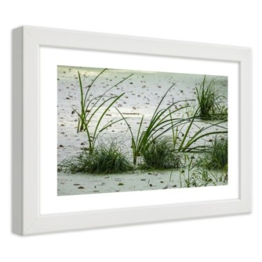 Quadro con cornice, Erbe sulla spiaggia - 45x30